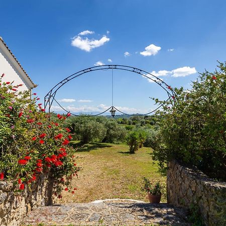 Classical Villa Anta Ágios Ioánnis 외부 사진