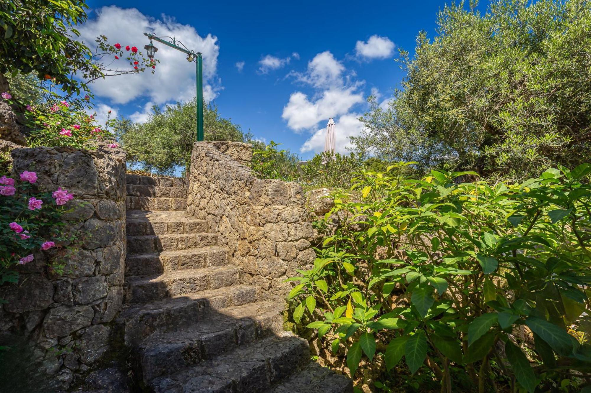 Classical Villa Anta Ágios Ioánnis 외부 사진